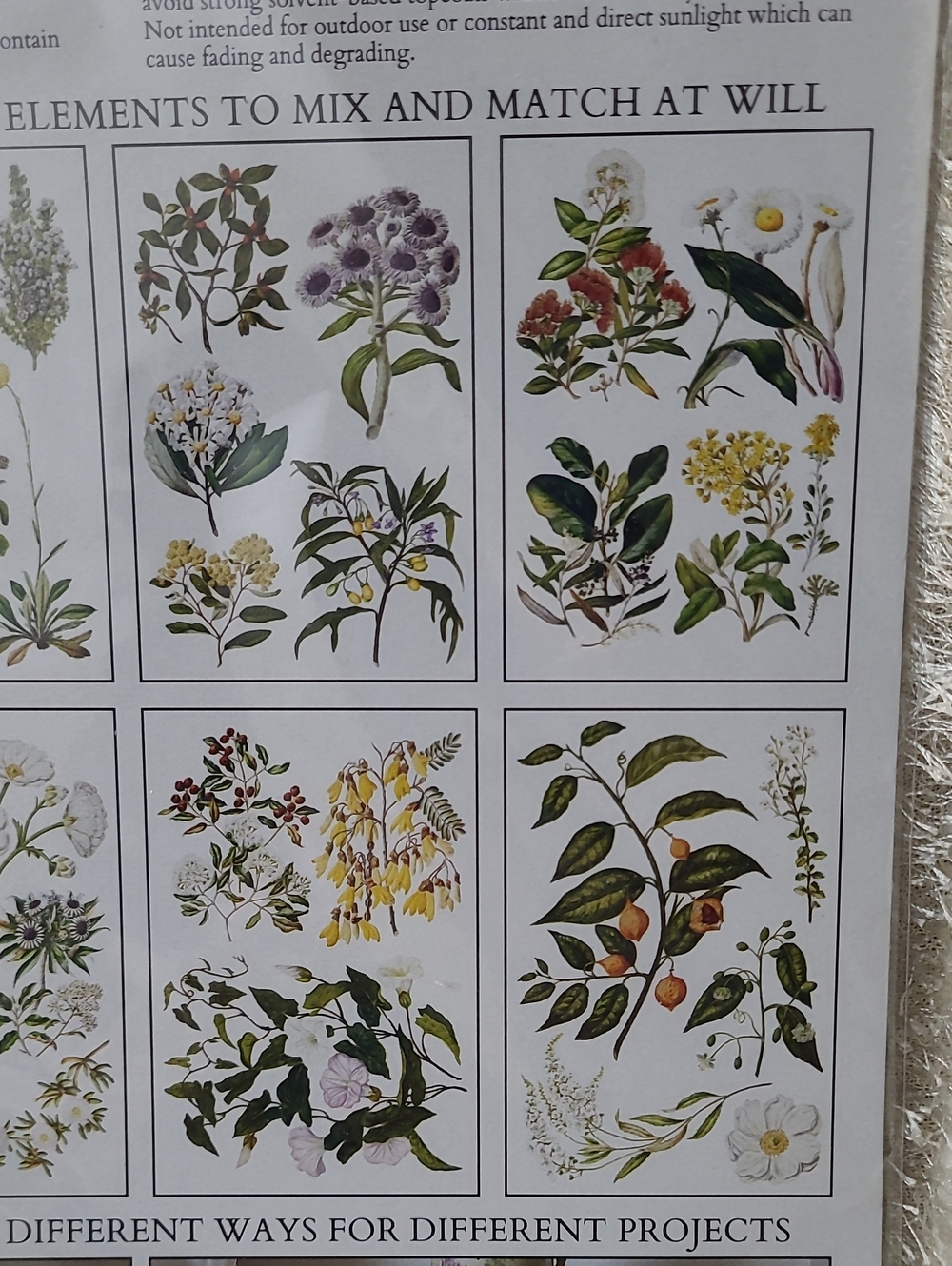 NEW IOD Iron Orchid Designs Transfer Sarah Featon's Botanicals 8 Sheets 8" x 12" - Picture 5 of 9